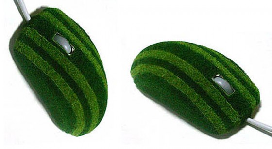 grass-covered-mouse