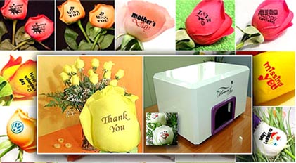 Impresora de flores de 1.250 dólares | impresoras Flower Printer CompactImpact 